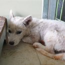 포항시북구78 이미지