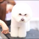 모찌네 살롱 이미지