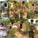 에벤에셀농장 이미지