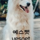 러브독스 이미지