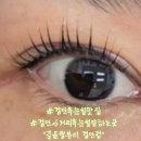 솔로몬프라자 | 검단속눈썹펌맛집추천 끌올림뷰티 출산후 다녀온 솔직방문후기