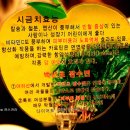 아리산 티스토리