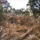 토산보건진료소 이미지