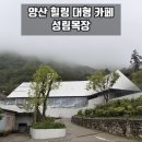 성림 | 경남 양산 | '성림목장' 옛날 목장이었던 자연속 힐링 대형 카페