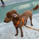 똘이살롱 이미지