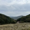 라 까시나 이태리 이미지