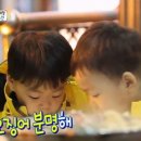 만세낙지 이미지