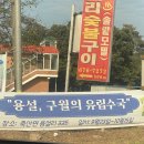죽산면사무소 주차장 | 안성시 죽산면 수국 구경 후기~