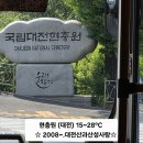 국립대전현충원 둘레길 걷기 ('26.06.09.화) 이미지