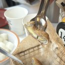 아라치대구 이미지