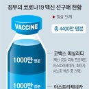 백신상회 이미지