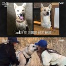 캐나다 체크인
