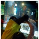 씨월드 피시 이미지