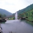 금봉자연휴양림 이미지