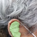 이종달이비인후과의원 이미지