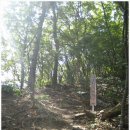 송원농원 이미지