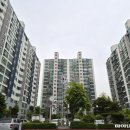 흰돌1호 이미지