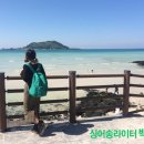 오후에소풍