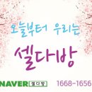 셀다 이미지