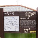 대룡2리 마을회관 | [대룡시장] 시간이 멈춘 곳, 추억의 타임캡슐을 열다
