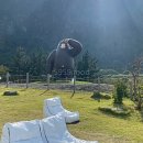 울릉KOSMOS 이미지