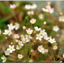 지리산지구전적비 이미지