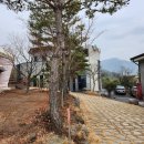 글램핑장 입구 이미지