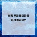 두피탈모관리