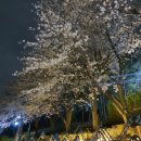 요즘 나의 일상과 소소한 후기(런린이/코린이/주린이)