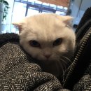 만박동물병원 이미지