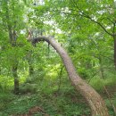 한송공인중개사사무소 이미지