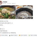 정가네축산 - 강서구 방화동로 116 | 아산 둔포 맛없으면 돈 안받는 '정가네 논길 추어탕' 포장후기