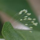 재송초등학교 이미지