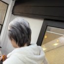하정 | 홍대미용실 염색 : 어바웃9 하정 디자이너의 남자 백금발 시술후기