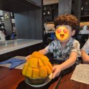 PAWS N PAWS(포즈앤포즈) | 푸꾸옥 풀만 리조트 후기｜아이랑 가기 좋은 수영장 천국 (+프라이빗비치·레스토랑)