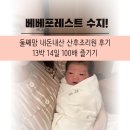 베베포레스트 산후조리원 2주 제대로 힐링하고 배워가기!