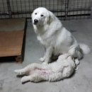 태양이네