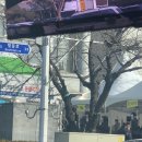덕진보건진료소 | 전주 덕진선별진료소 코로나 검사 후기