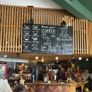 달랏 숙소 추천 Pi boutique hostel 파이 부티크 호스텔 피 부티크 호스텔 애틱룸 후기 조식 할인 예약