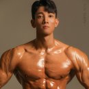 홍핏 이미지