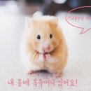 잇츠비 이미지