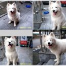 안녕하세요 이미지