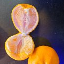 성산청과 이미지