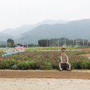 고석정 이미지
