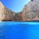 숲(Forest) 이미지