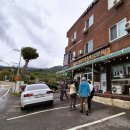 합천토종흙돼지 이미지