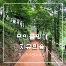 물맞이공원 | 무안 물맞이공원, 황토맨발길이 있는 무안치유의숲