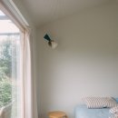 탈로 제주 이미지