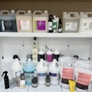 뭉치, 그루밍 | 신림애견미용실 신대방애견미용실 캐리그루밍에서 사용하는 샴푸&amp;컨디셔너&amp;팩 제품들 소개합니다