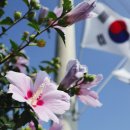 (주)하이브파트너스 이미지